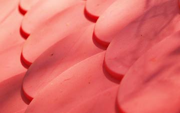 Smithton plastic roof costs