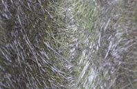 Smithton fibreglass roof work